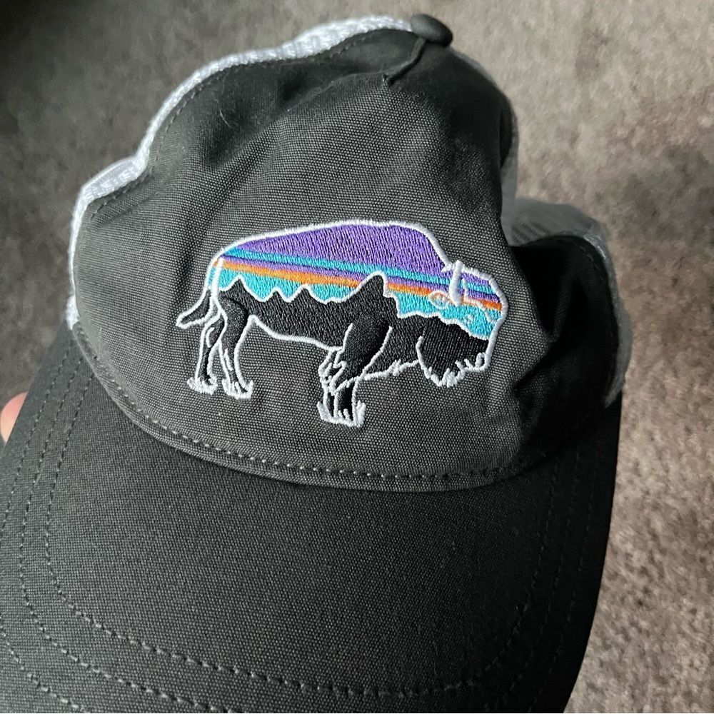 Patagonia Unisex OSFA Buffalo Trucker Hat - Picture 3 of 6